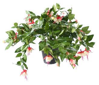 Feuillage artificiel fleuri Fuchsia en piquet - intrieur - H.25cm crme rouge