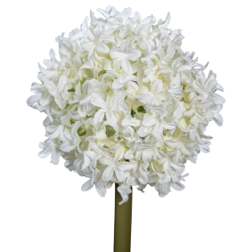 Fleur artificielle Allium tige d'ail d'ornement - composition bouquet - H.79cm crme