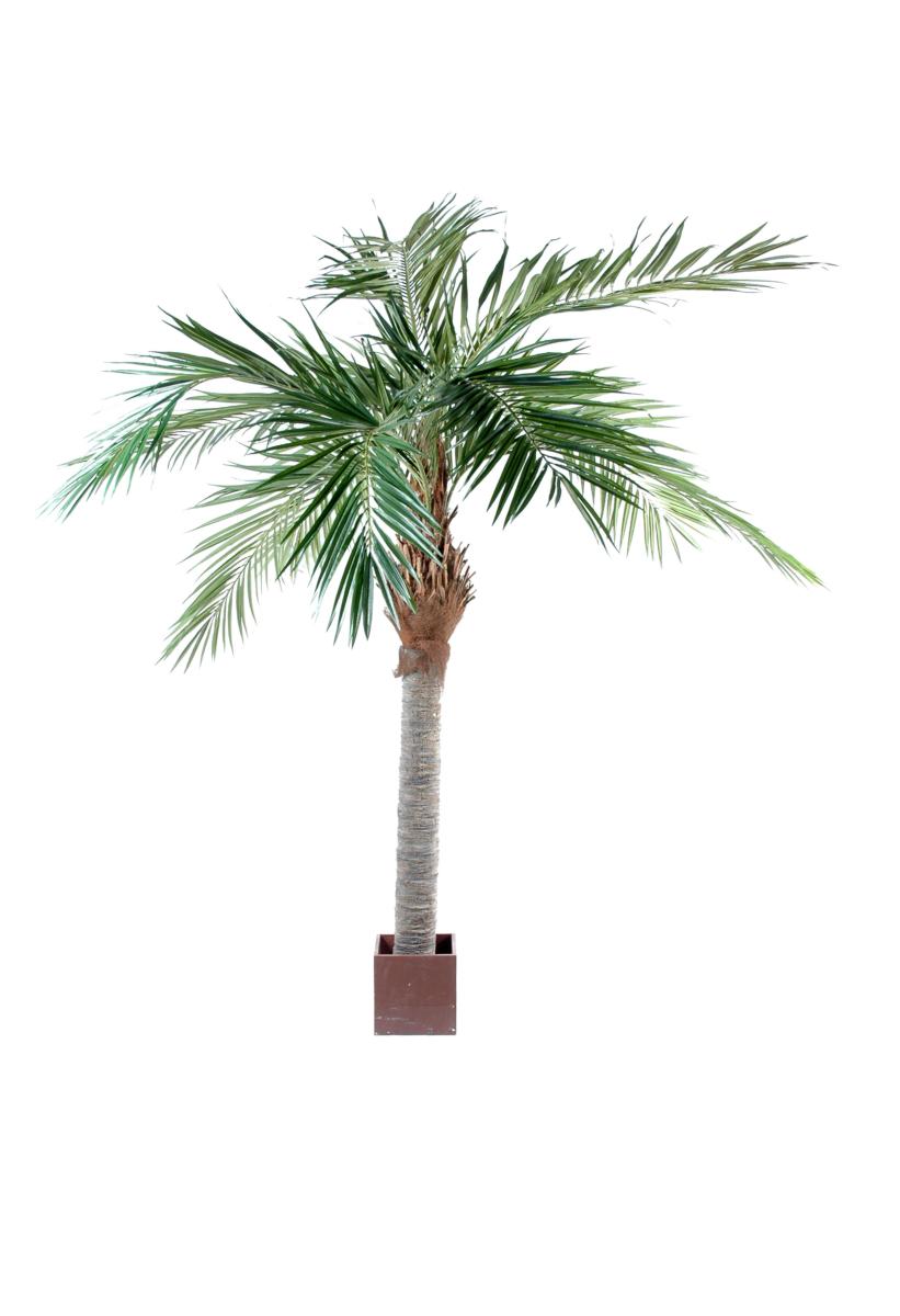 Palmier artificiel Majesty - arbre tropical luxe - H.250cm vert