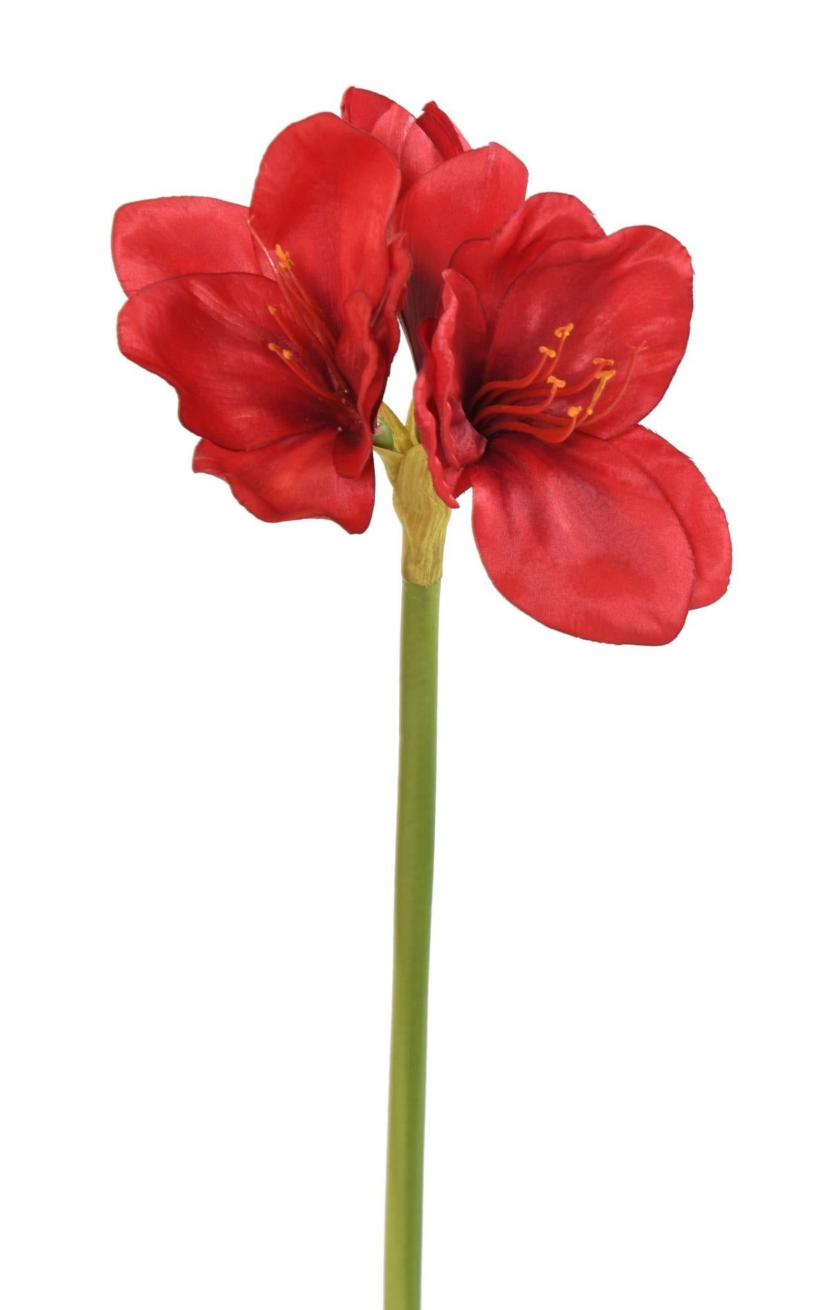 Amaryllis artificielle 2 fleurs 1 bouton - création florale - H.60cm rouge