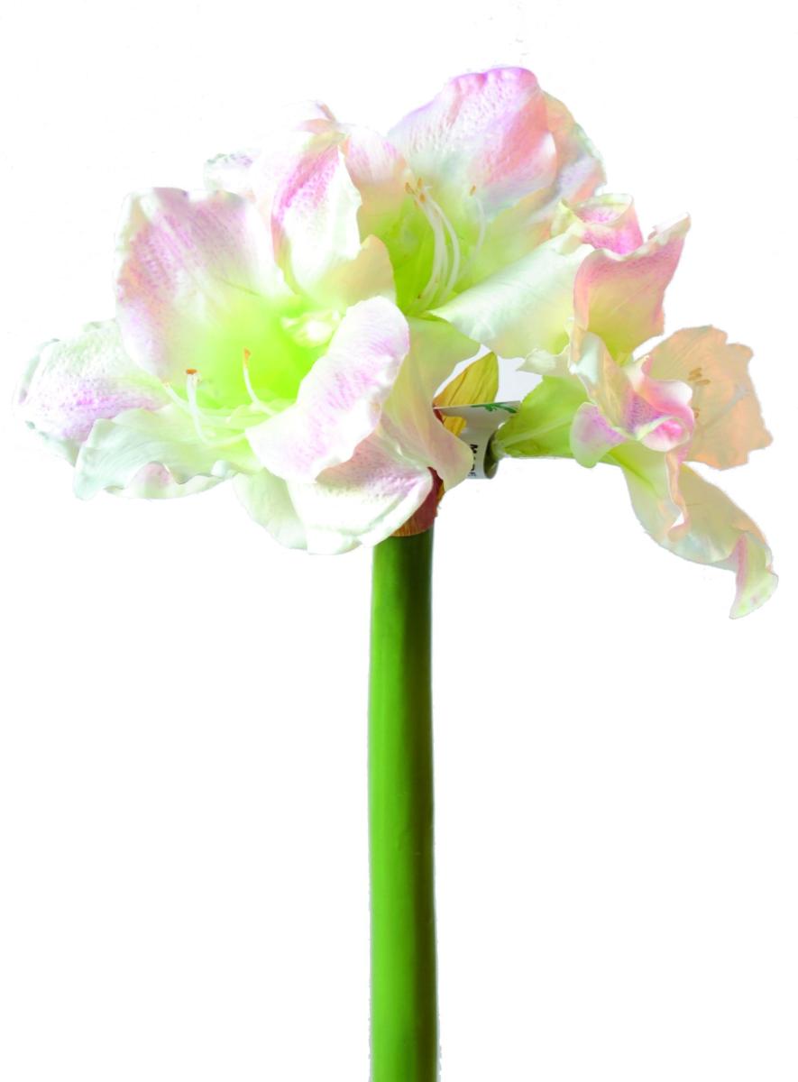 Amaryllis artificielle 3 fleurs - composition florale - H.70cm blanc