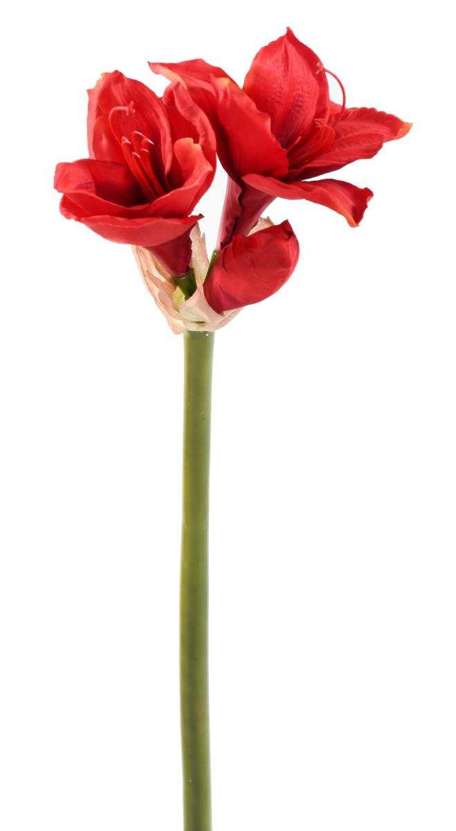 Amaryllis artificielle à la tige 2 fleurs - composition florale - H.75cm rouge