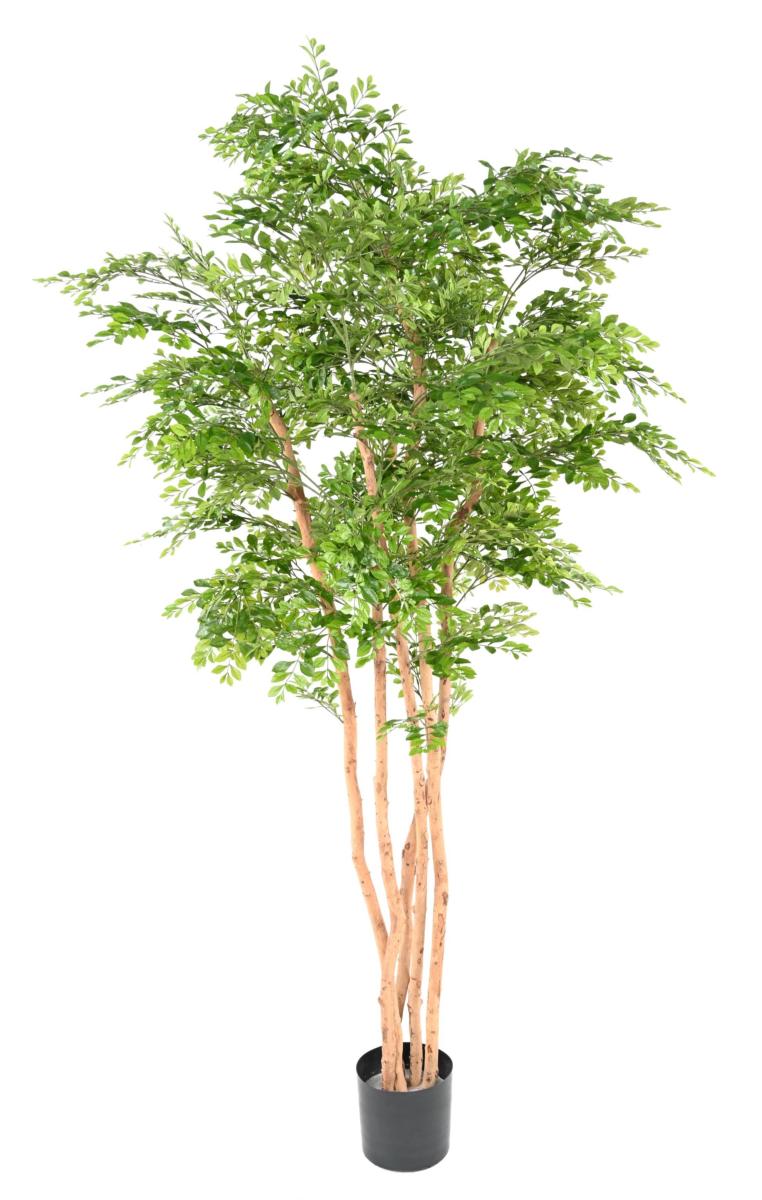 Arbre artificiel Acacia 5 troncs - plante d'intérieur - H.210cm vert