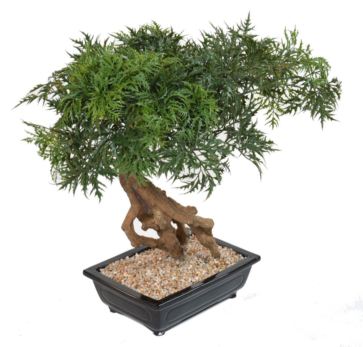 Bonsaï Aralia arbre miniature en coupe - plante synthétique intérieur - H.60cm