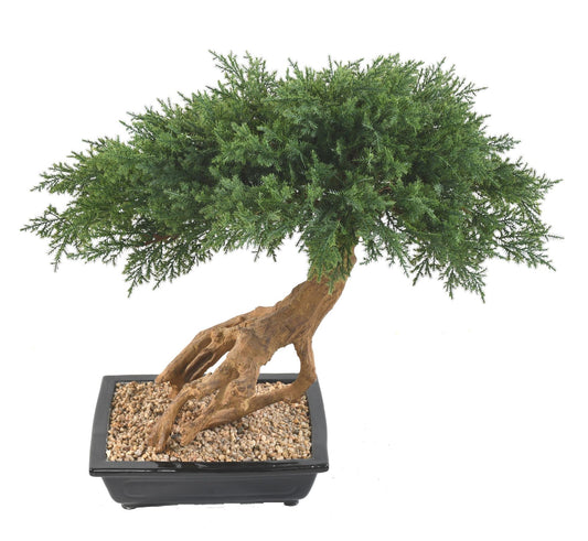 Bonsaï Juniperus artificiel en coupe - plante synthétique intérieur - H.60cm