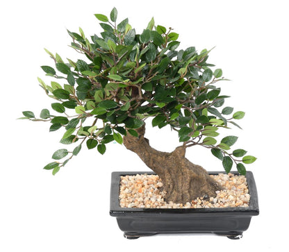 Bonsaï Orme artificiel coupe avec gravier - plante synthétique intérieur - H.30cm