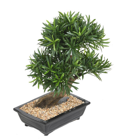 Bonsaï Podocarpus artificiel en coupe - plante synthétique intérieur - H.50cm