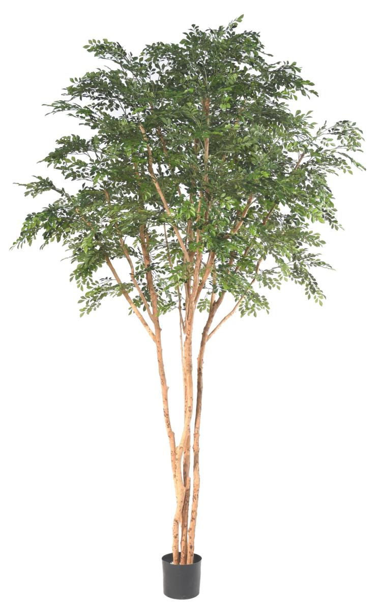 Bucida Tree Luxe Arbre artificiel - décoration d'intérieur - H.330cm