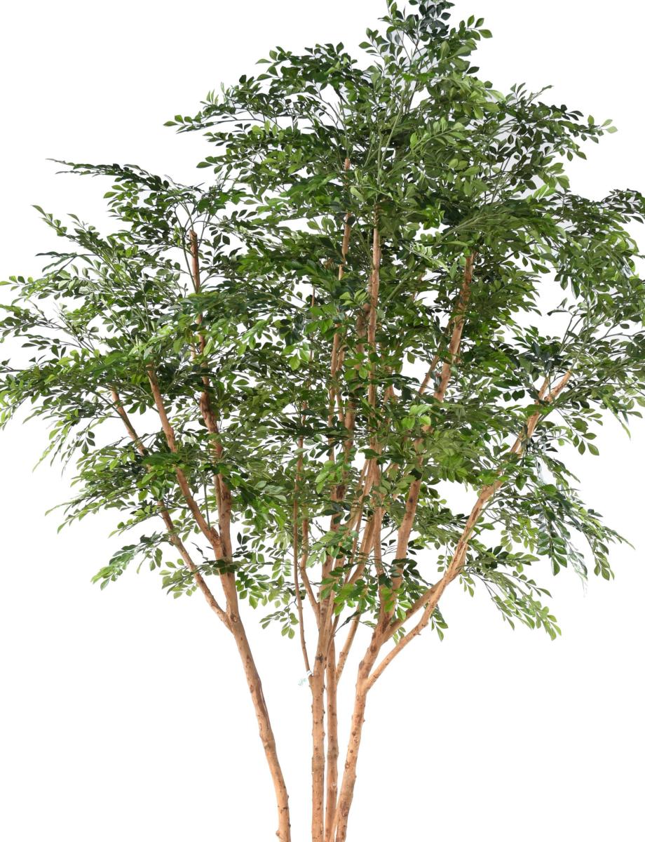 Bucida Tree Luxe Arbre artificiel - décoration d'intérieur - H.330cm