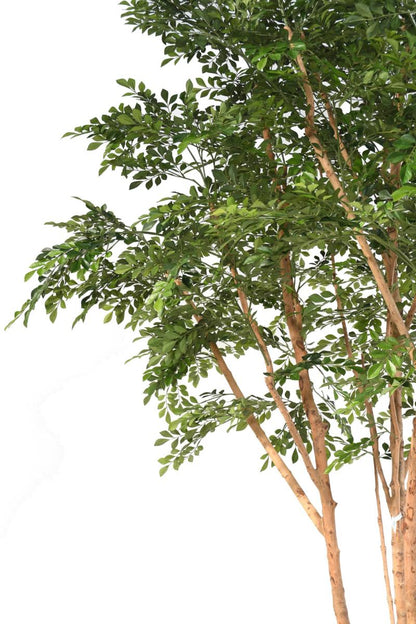 Bucida Tree Luxe Arbre artificiel - décoration d'intérieur - H.330cm