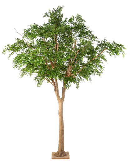 Bucida Arbre artificiel - plante décoration d'intérieur - H.360cm