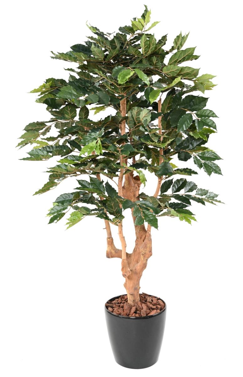 Arbre artificiel Caféier 5 branches - plante d'intérieur - H.180cm vert