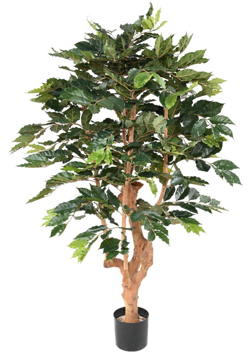 Arbre artificiel Caféier 5 branches - plante d'intérieur - H.180cm vert