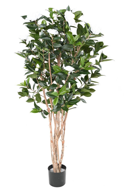 Arbre artificiel Camélia du japon 12 fleurs - intérieur - H.160cm blanc