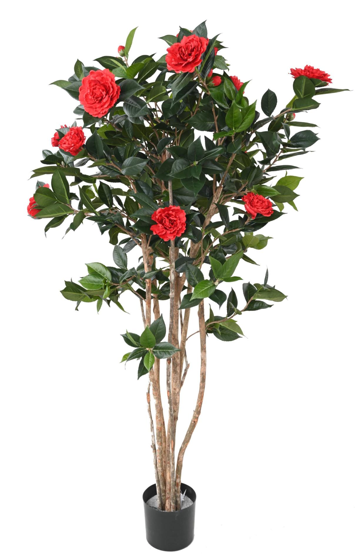 Arbre artificiel Camélia du japon 12 fleurs - intérieur - H.160cm rouge