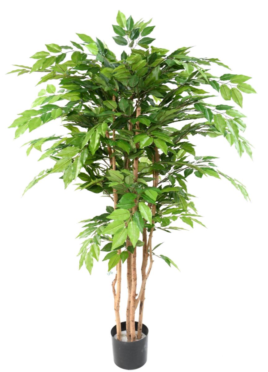 Arbre artificiel Charme 5 troncs - plante d'intérieur - H.150cm vert