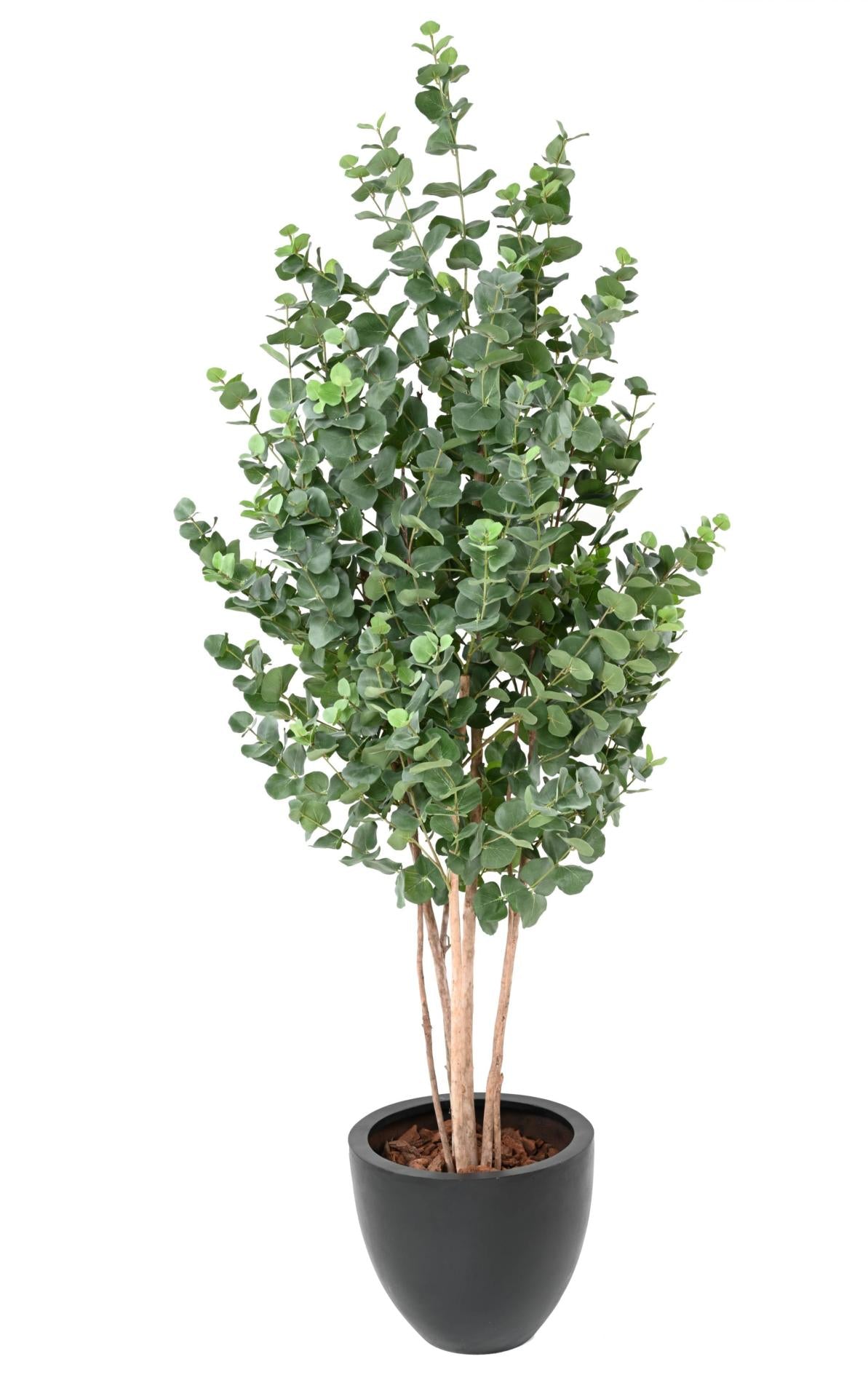 Arbre artificiel Eucalyptus Gunnii - plante synthétique d'intérieur - H.190cm