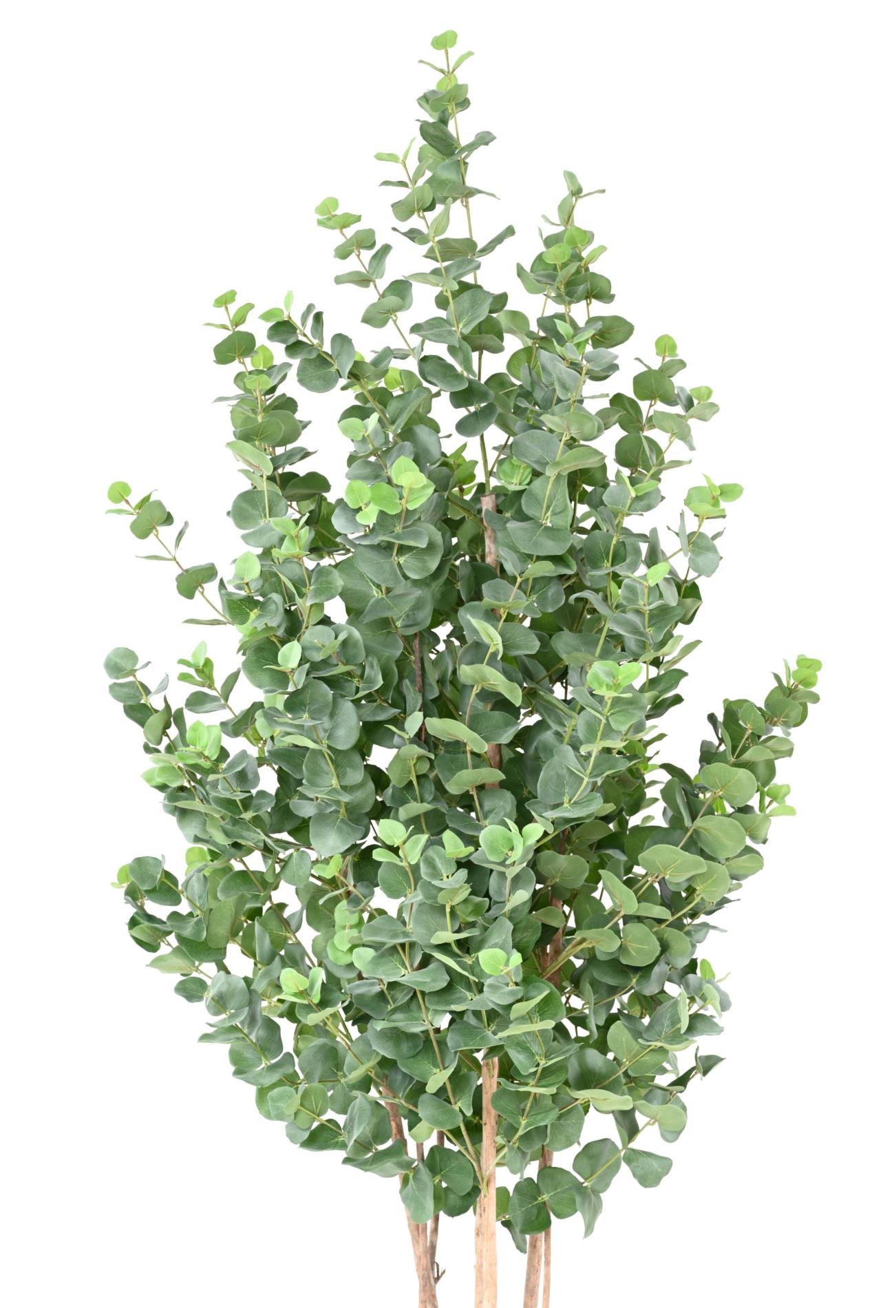 Arbre artificiel Eucalyptus Gunnii - plante synthétique d'intérieur - H.190cm