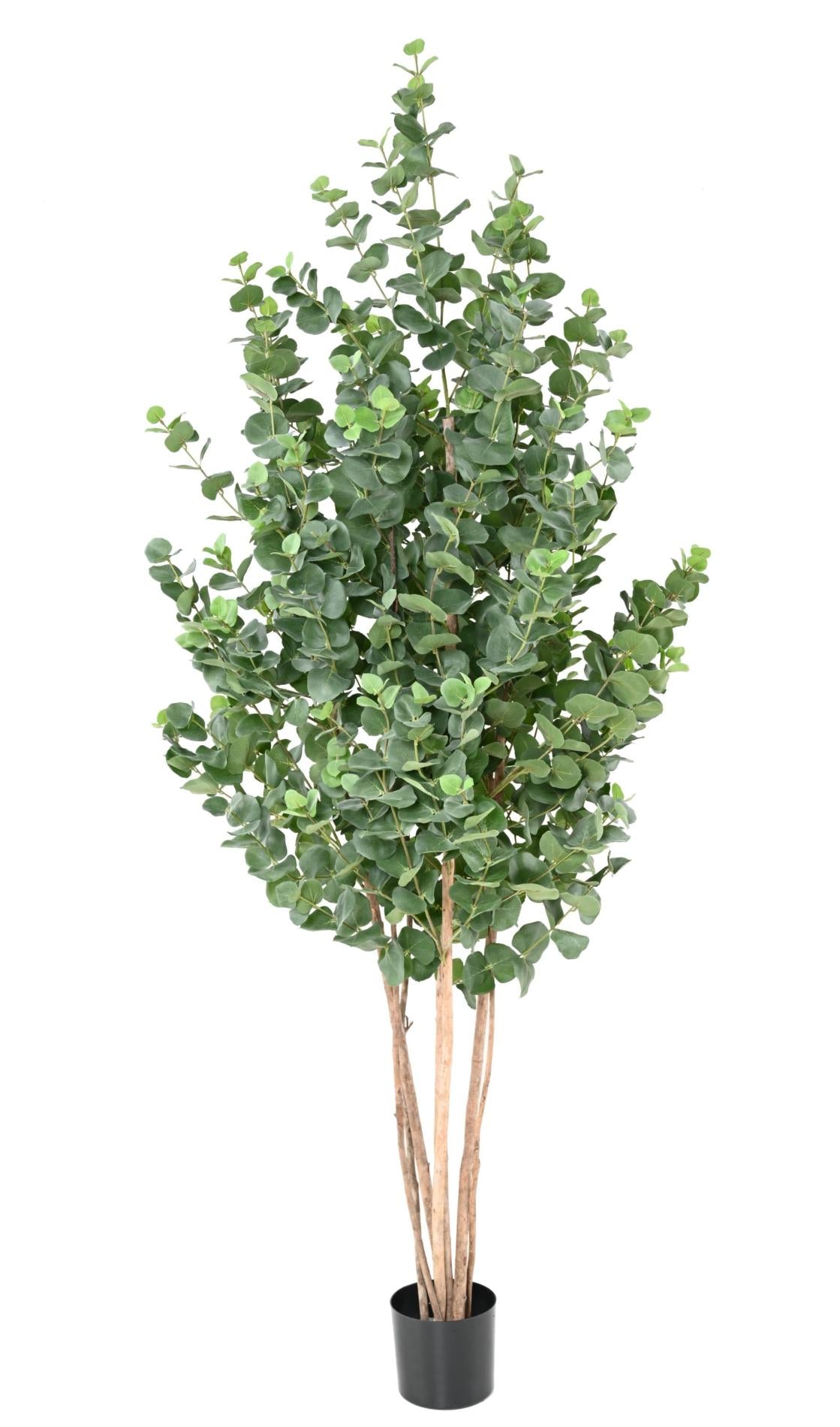 Arbre artificiel Eucalyptus Gunnii - plante synthétique d'intérieur - H.190cm