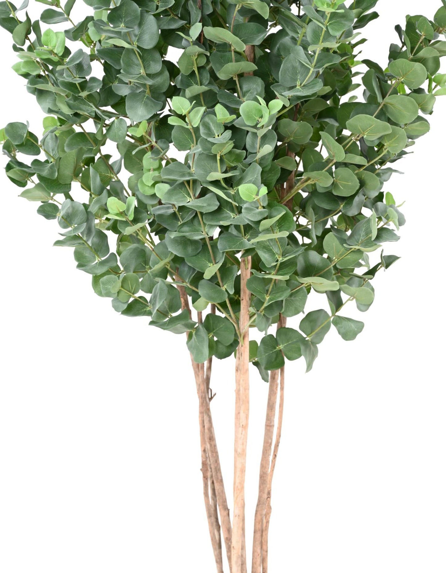 Arbre artificiel Eucalyptus Gunnii - plante synthétique d'intérieur - H.190cm