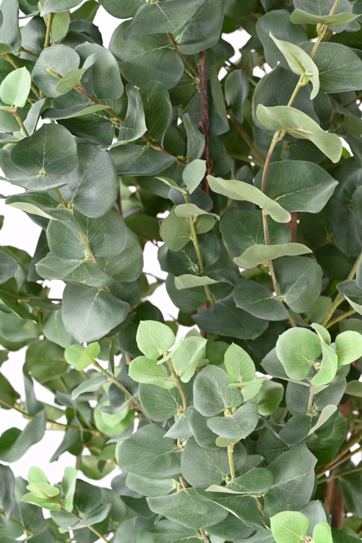 Arbre artificiel Eucalyptus Gunnii - plante synthétique d'intérieur - H.190cm