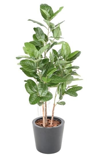 Arbre artificiel Ficus Audrey - plante synthétique d'intérieur - H.150cm