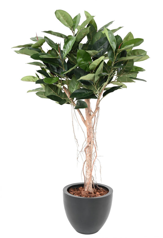 Arbre artificiel Ficus Elastica tête - plante synthétique d'intérieur - H.160cm vert