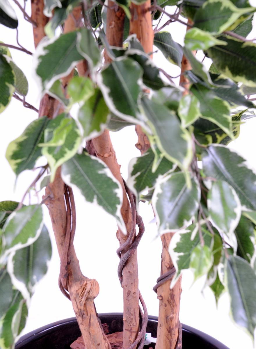 Arbre artificiel Ficus Exotica - plante d'intérieur - H.180cm vert/crème