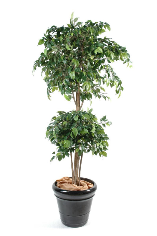 Arbre artificiel Ficus double boule - décoration d'intérieur - H.150cm