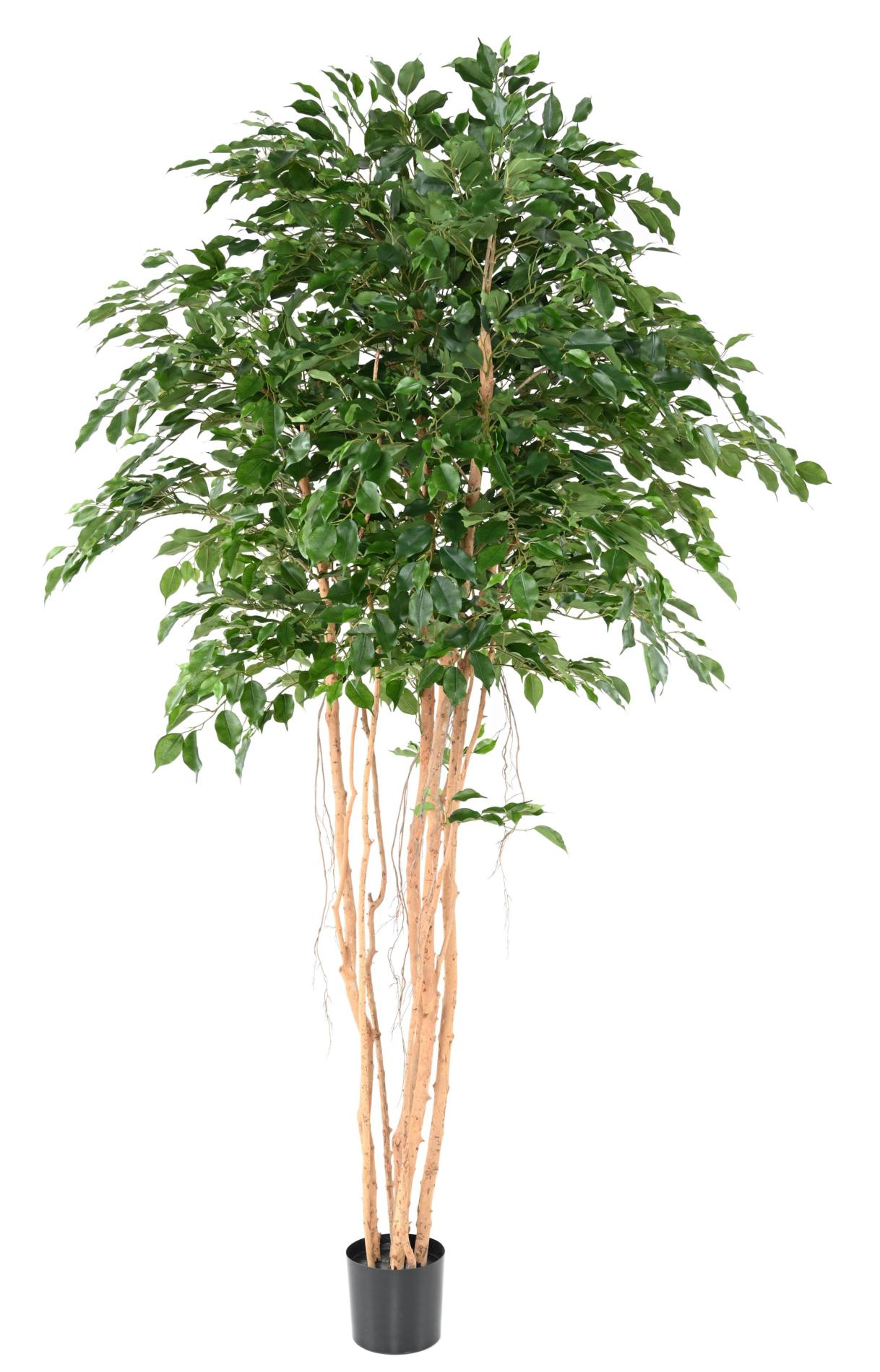 Arbre artificiel Ficus exotica MT - plante synthétique d'intérieur - H.260cm vert