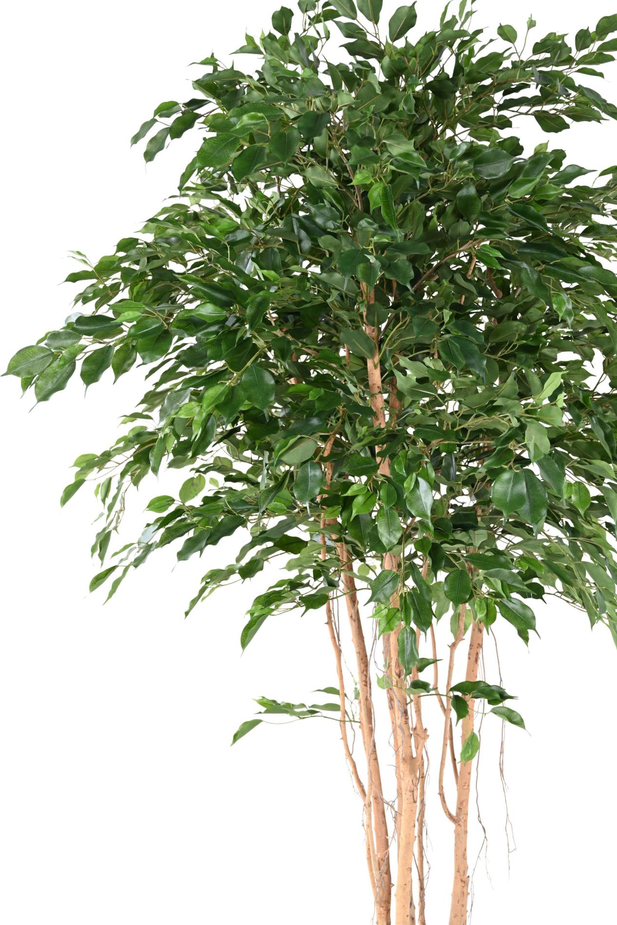 Arbre artificiel Ficus exotica MT - plante synthétique d'intérieur - H.260cm vert