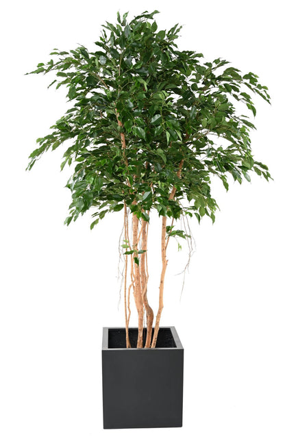 Arbre artificiel Ficus exotica MT - plante synthétique d'intérieur - H.260cm vert