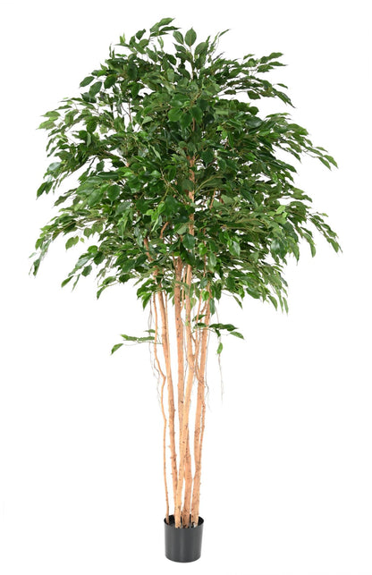 Arbre artificiel Ficus exotica MT - plante synthétique d'intérieur - H.260cm vert