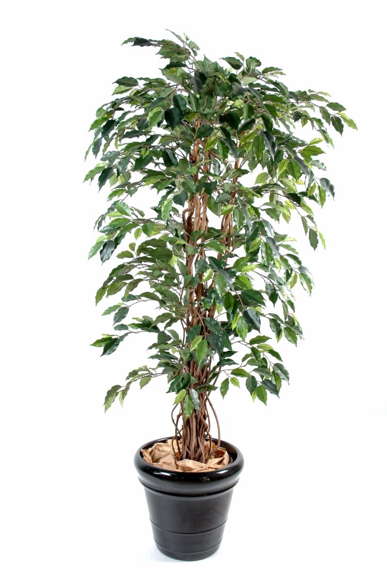 Arbre artificiel Ficus lianes grandes feuilles - plante d'intérieur - H.150cm vert