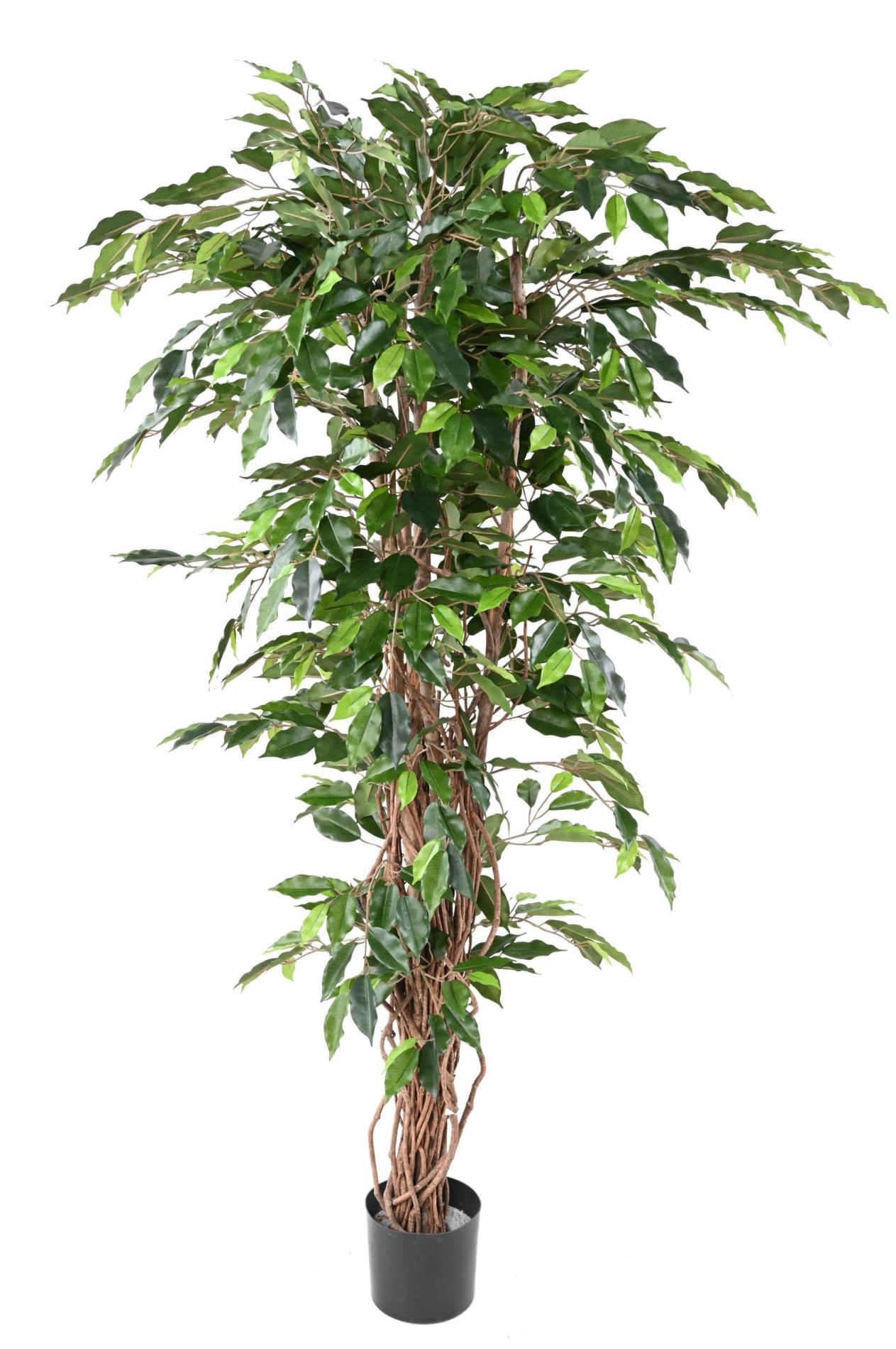 Arbre artificiel Ficus lianes grandes feuilles - plante d'intérieur - H.180cm vert