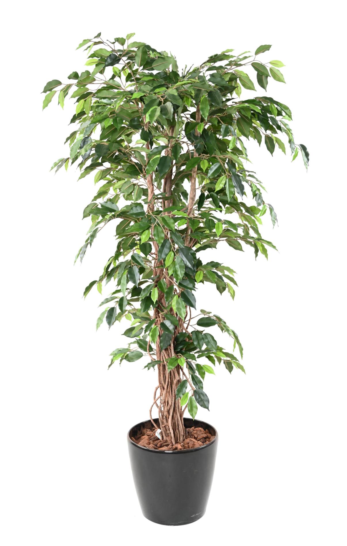 Arbre artificiel Ficus lianes grandes feuilles - plante d'intérieur - H.180cm vert