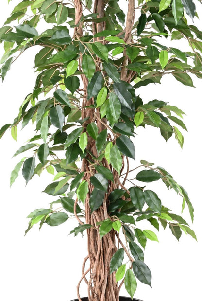 Arbre artificiel Ficus lianes grandes feuilles - plante d'intérieur - H.210cm vert