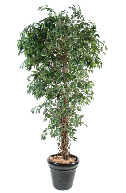 Arbre artificiel Ficus lianes petites feuilles - plante d'intérieur - H.210cm vert