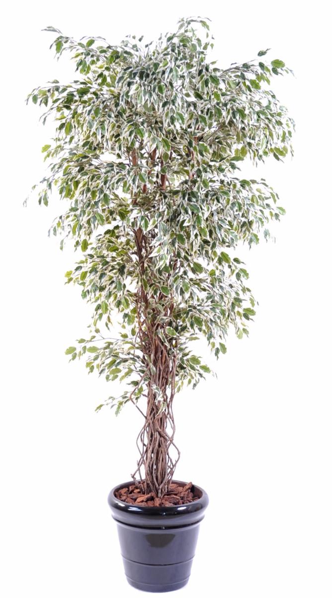 Arbre artificiel Ficus lianes petites feuilles - plante d'intérieur - H.180cm vert/crème