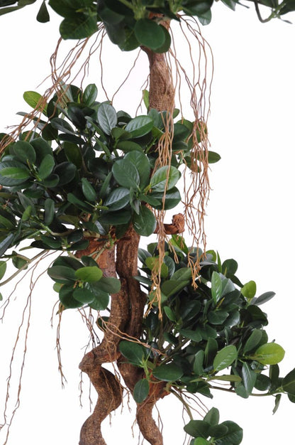 Arbre artificiel Ficus Panda Microcarpa - plante intérieur - H.170cm