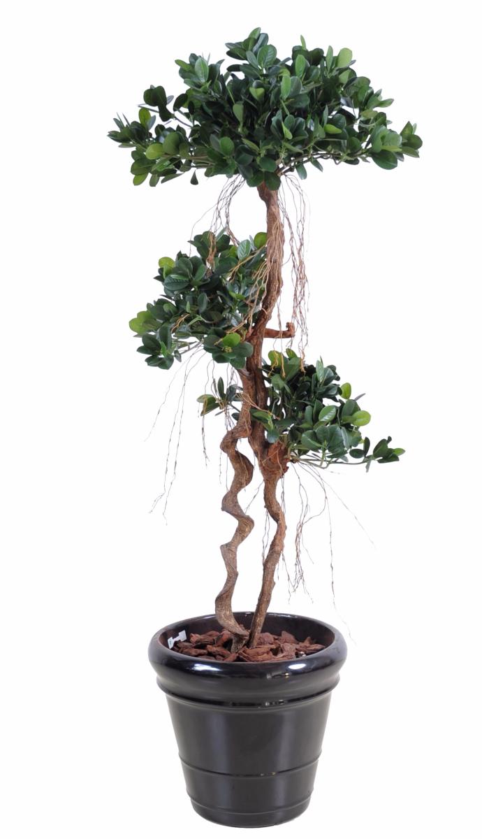 Arbre artificiel Ficus Panda Microcarpa - plante intérieur - H.170cm