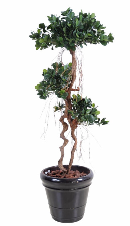 Arbre artificiel Ficus Panda Microcarpa - plante intérieur - H.170cm