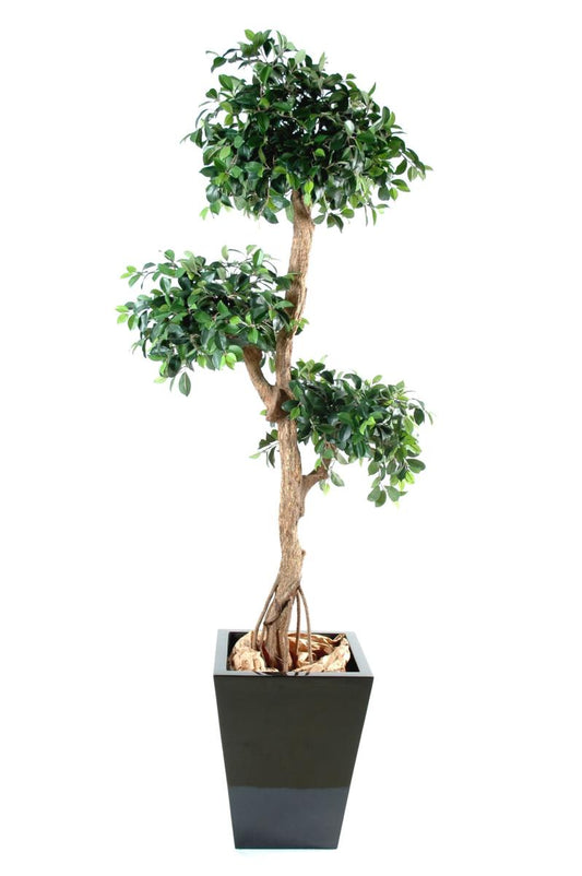 Arbre artificiel Ficus retusa crazy - plante synthétique - H.150cm vert