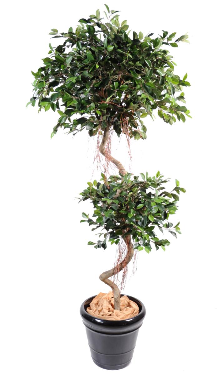 Arbre artificiel Ficus spirale 2 boules - plante d'intérieur - H.180cm vert