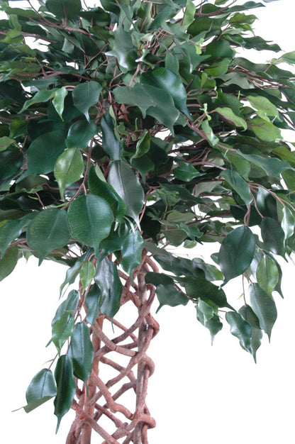 Arbre artificiel Ficus tronc cage - plante d'intérieur - H.170cm vert