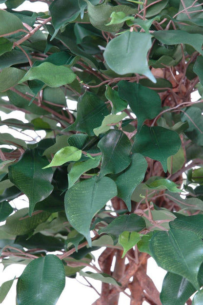 Arbre artificiel Ficus tronc cage - plante d'intérieur - H.140cm vert