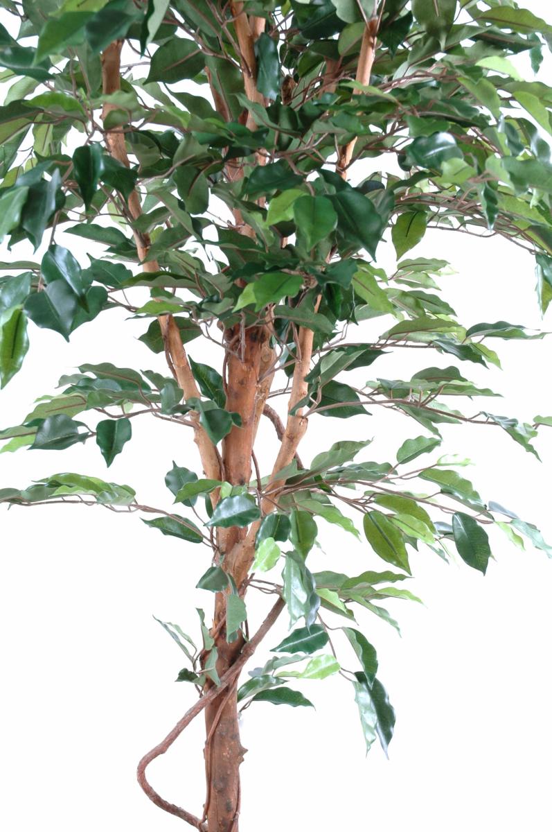 Arbre artificiel Ficus tronc simple - plante synthétique intérieur - H.180cm