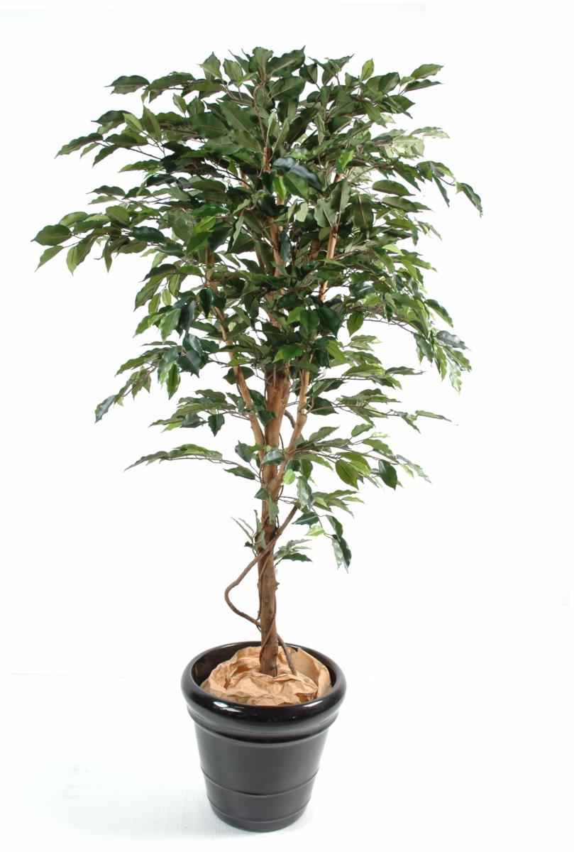 Arbre artificiel Ficus tronc simple - plante synthétique intérieur - H.180cm