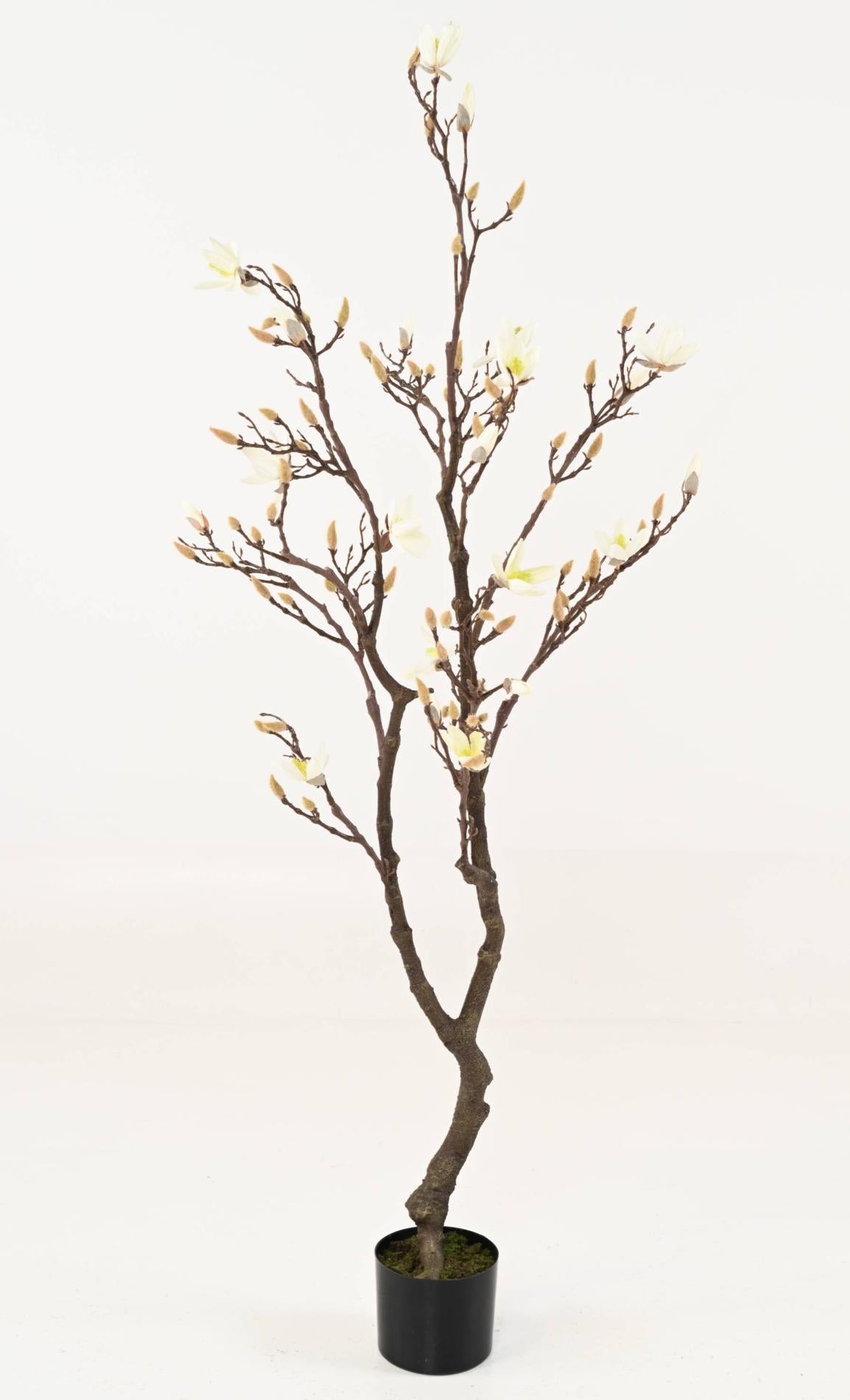 Arbre artificiel Magnolia Tulipier du Japon en floraison - plante d'intérieur - H.150cm blanc