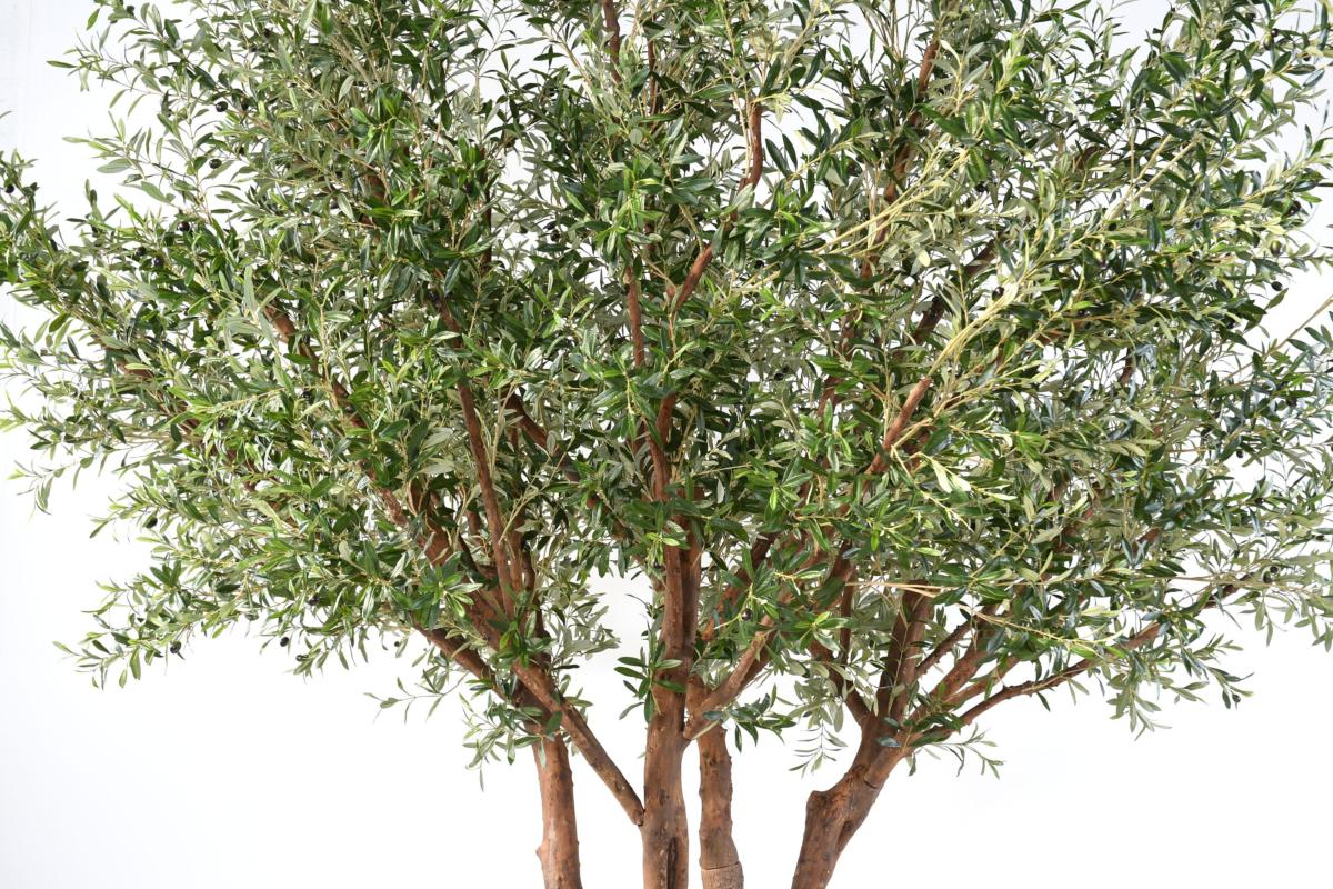 Arbre artificiel Olivier NC - plante pour intérieur - H.330cm